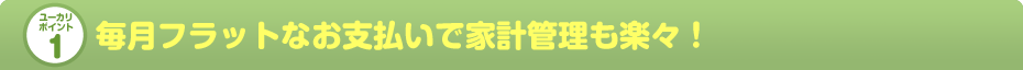 毎月フラットなお支払いで家計管理も楽々！